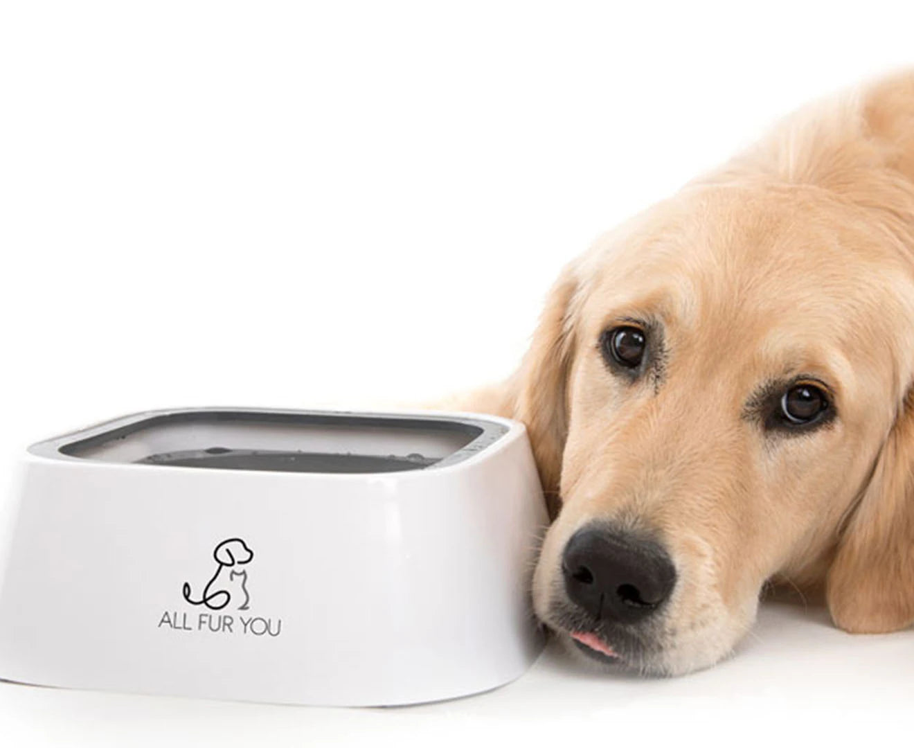 1L Anti-Splash Pet Water Bowl