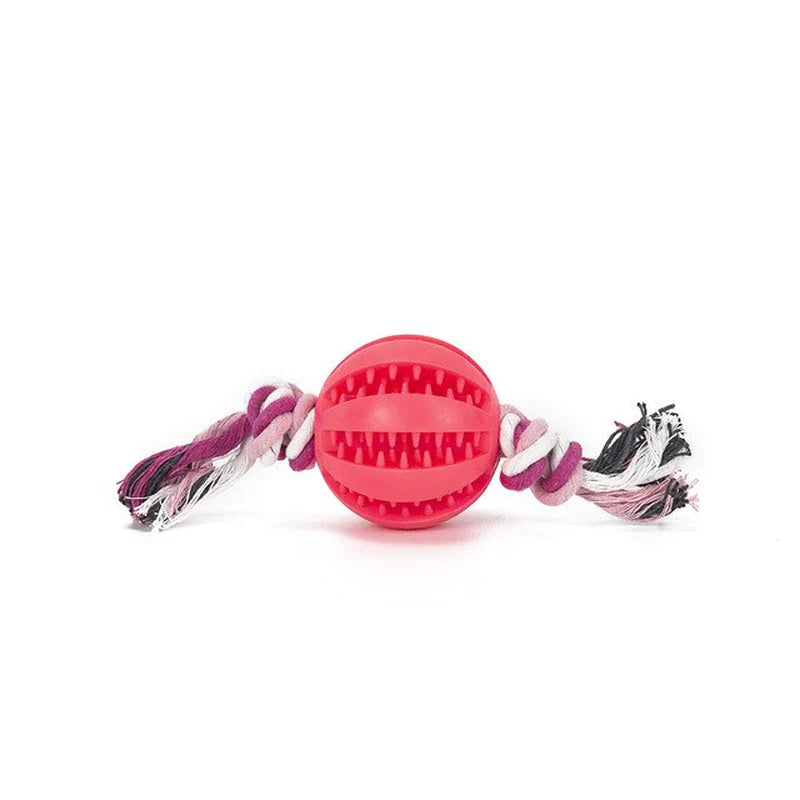 "Get It Today! Interactive Dog Chew Toy Ball - Fun & Dental Care in One!"