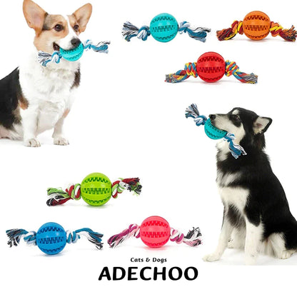 "Get It Today! Interactive Dog Chew Toy Ball - Fun & Dental Care in One!"